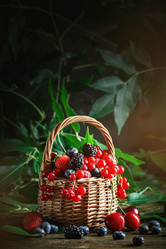 Similar image 13125790