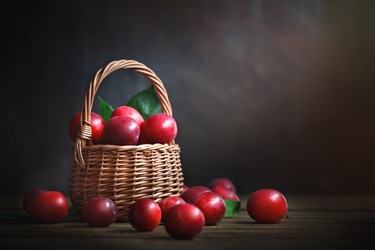 Similar image 13125795