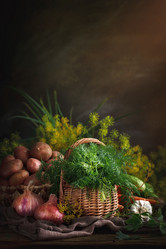 Similar image 13125816