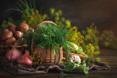 Similar image 13125817