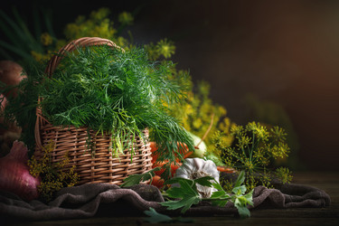 Similar image 13125820