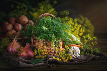 Similar image 13125821