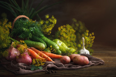 Similar image 13125823