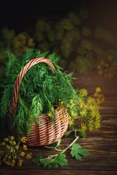 Similar image 13125824