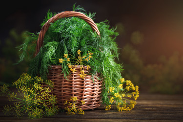 Similar image 13125825