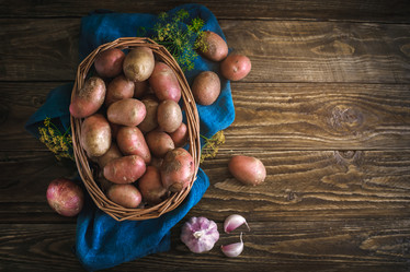 Similar image 13125829