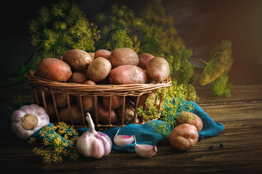 Similar image 13125830