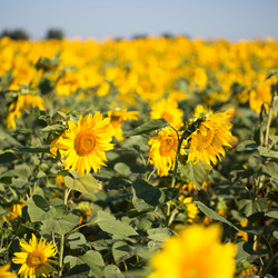 Similar image 13124818