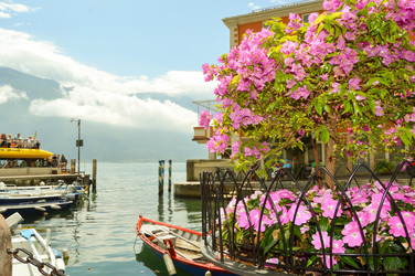 Similar image 13124094