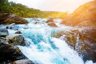 Similar image 13126009