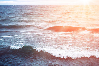 Similar image 13126010