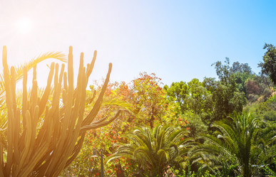 Similar image 13126013