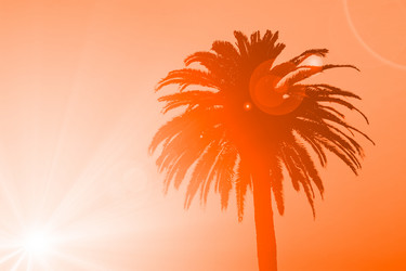 Similar image 13126015