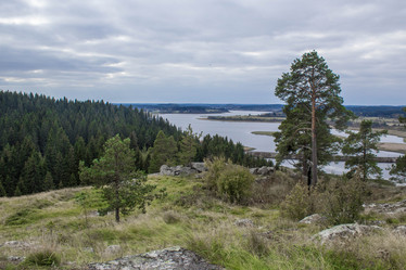 Similar image 13125168