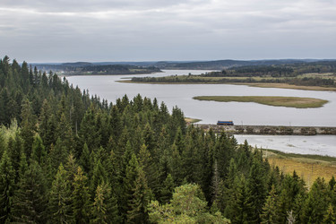 Similar image 13125172