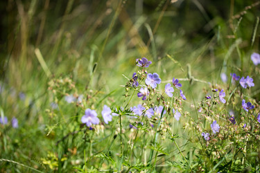 Similar image 13125018