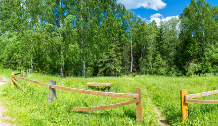 Similar image 13125138