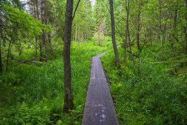 Similar image 13125142