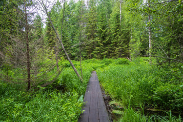 Similar image 13125143