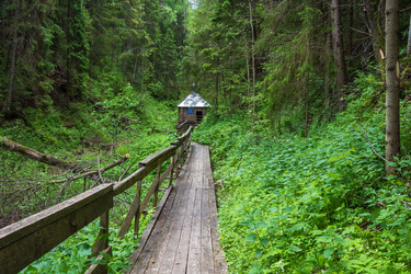 Similar image 13125150