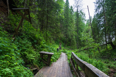 Similar image 13125151