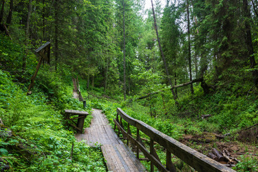 Similar image 13125152