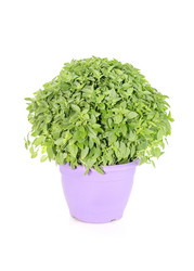 Similar image 13125263