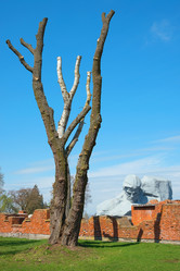 Similar image 13124927