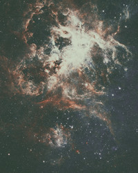 Similar image 13138169