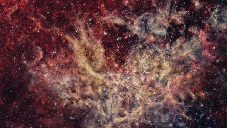 Similar image 13138175