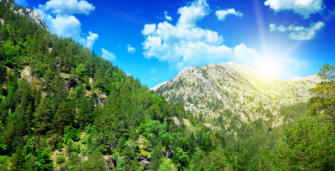 Similar image 13127196