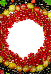 Similar image 13127215