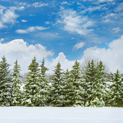 Similar image 13127216