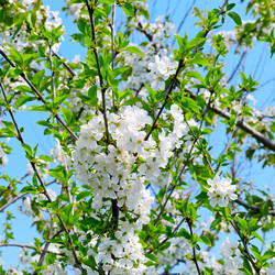 Similar image 13127219