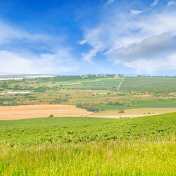 Similar image 13127221