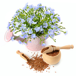 Similar image 13127223