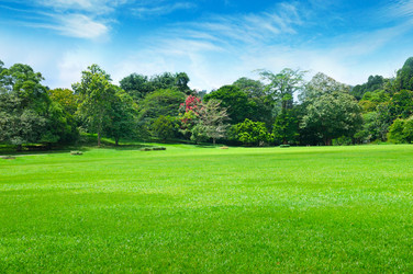 Similar image 13127225