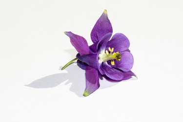 Similar image 13125908