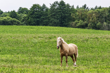 Similar image 13124938