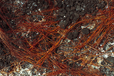 Similar image 13125367