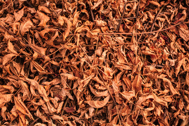 Similar image 13125369