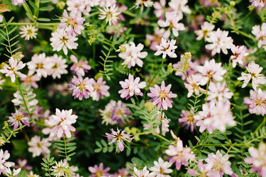 Similar image 13125370