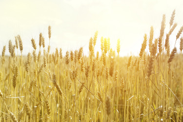 Similar image 13125362