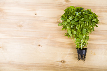 Similar image 13125007