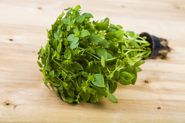 Similar image 13125009