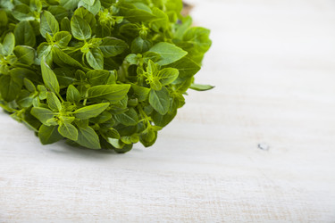 Similar image 13125011