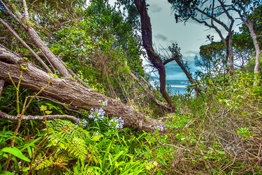 Similar image 13125395