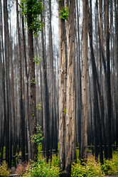 Similar image 13125397