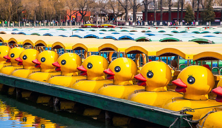 Similar image 13125398