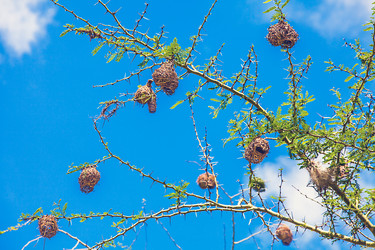 Similar image 13125423